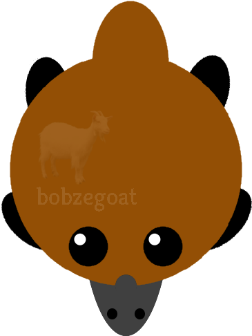 Io Platypus Just Art - Art (500x500), Png Download