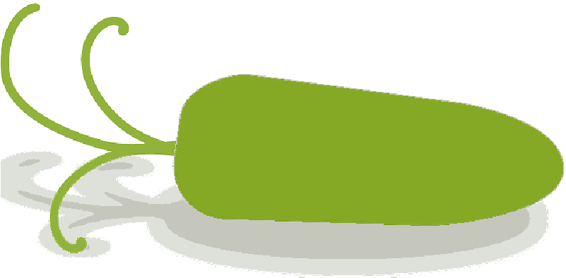 Mb Image/png - Baby Carrot (800x400), Png Download