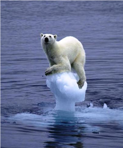 2094700242 Fd4a1b782c O - Global Warming Polar Bear (417x600), Png Download