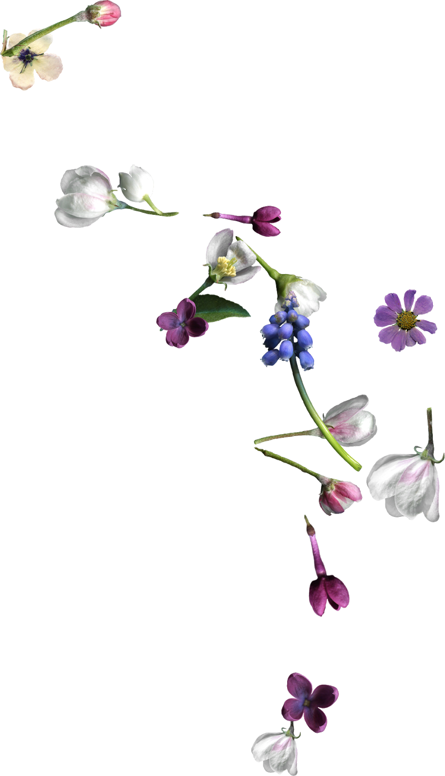 I Made A Few Things This Week, Including A Couple Of - Artificial Flower (919x1600), Png Download