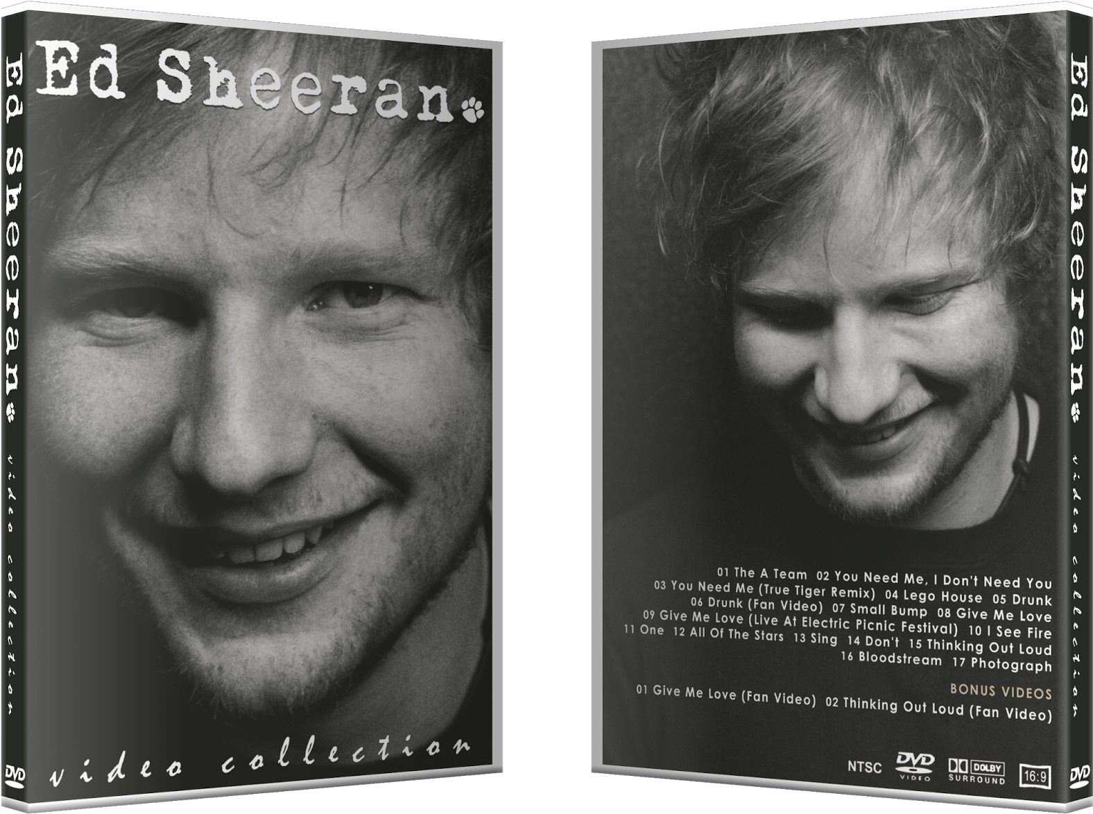 Ed Sheeran - Video Collection - Ed Sheeran - Profile Poster Print (24 X 36) (1600x1189), Png Download