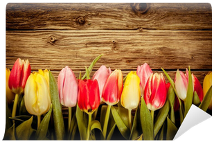Beautiful Fresh Tulip Border On Rustic Wood Wall Mural - Wood (400x400), Png Download