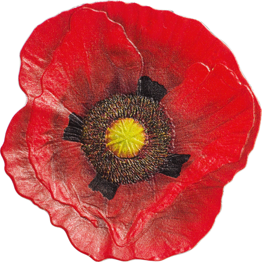 Remembrance Poppy - 2017 Remembrance Poppy Colour 1oz Silver Proof-like (910x910), Png Download