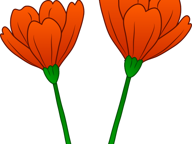 Share - Poppy Clipart Png (640x480), Png Download