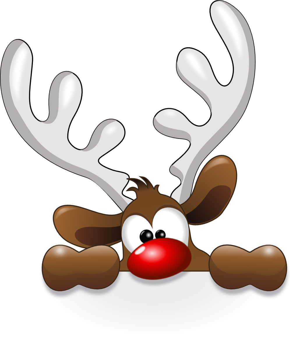 Reindeer Png Image - Funny Reindeer Throw Blanket (999x1159), Png Download