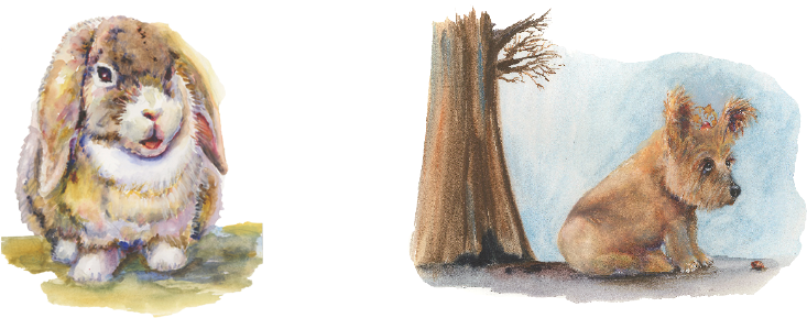 Joining The Couple Were Their Four Dogs - Cecina (851x300), Png Download