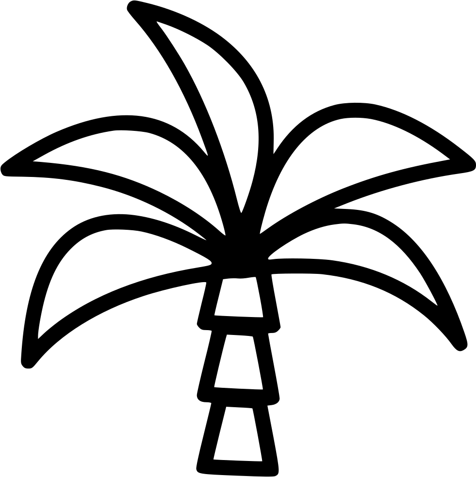 Palm Tree - - Icon (981x984), Png Download