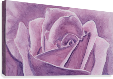 Rose Closeup Canvas Print - Art (429x299), Png Download