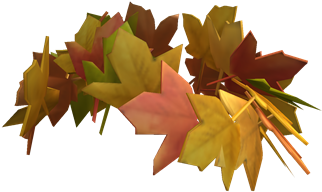 Crown Of Fall Leaves - Autumn Leaf Color (420x420), Png Download