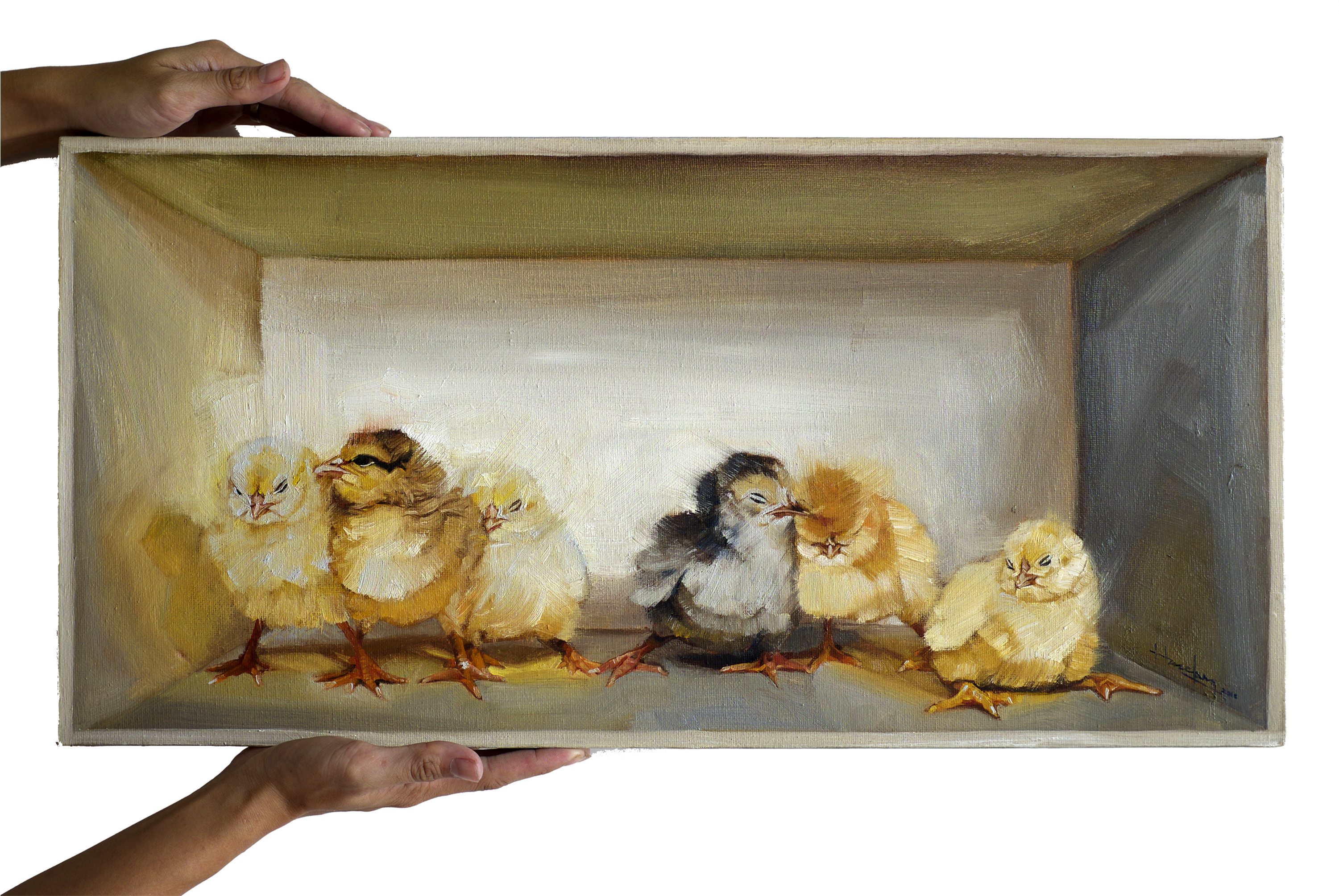 Chicks In A Box - Sheep (3000x2028), Png Download