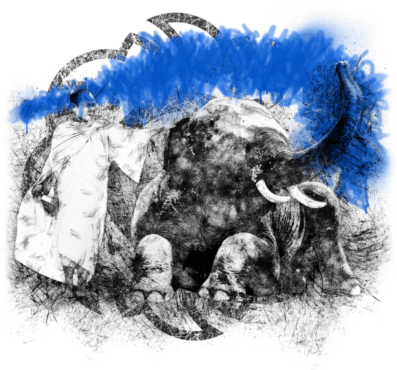 And Some Exciting New Signature Cocktails All Perfectly - Siamais (579x579), Png Download