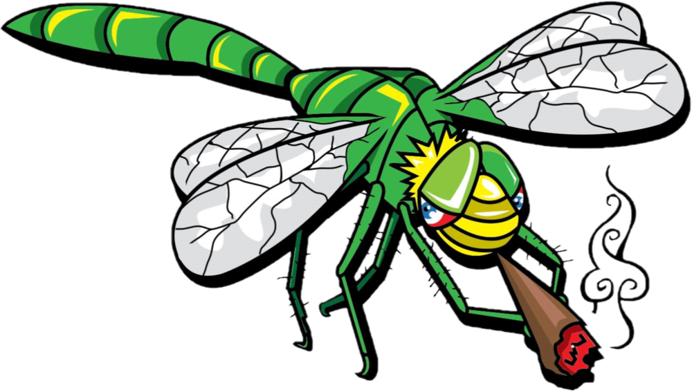 Jb Dragonfly Transparent - Blunt (1000x567), Png Download