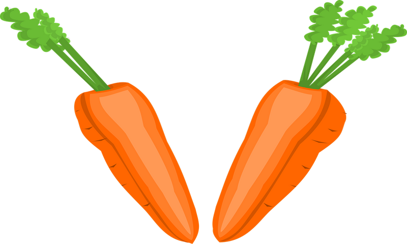 Halves Clipart (800x480), Png Download