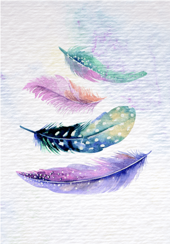 Feather Set - Girly Designs In Notebook (500x500), Png Download