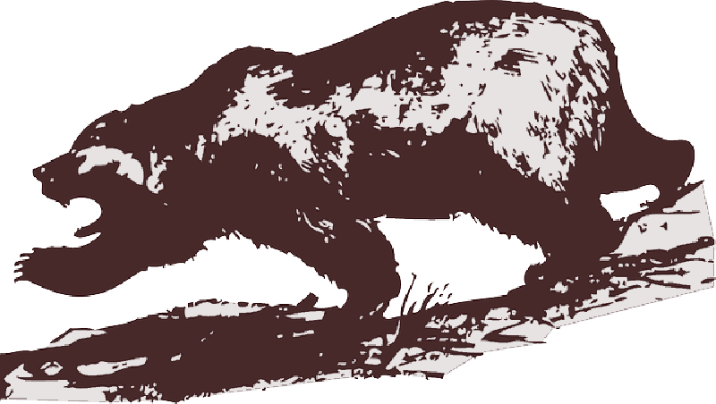 Mb Image/png - Grizzly Bear Clip Art (800x452), Png Download