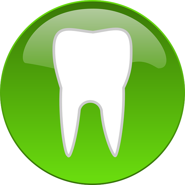 Icon, Symbol, Cartoon, Button, Logos, Free, Logo, Teeth - Tooth Clip Art (640x640), Png Download