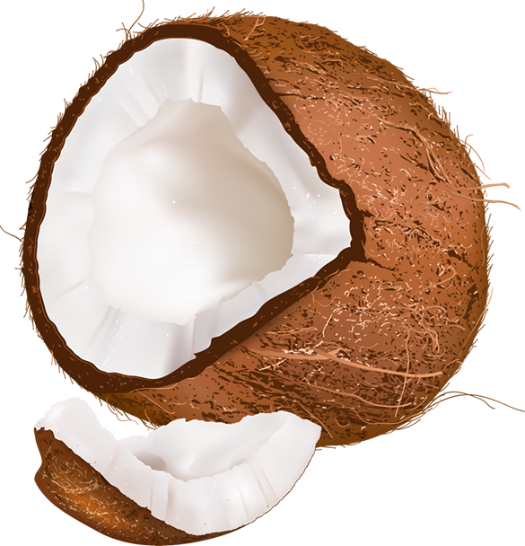 Tubes Fruits / Légumes - Ananas Noix De Coco (585x608), Png Download