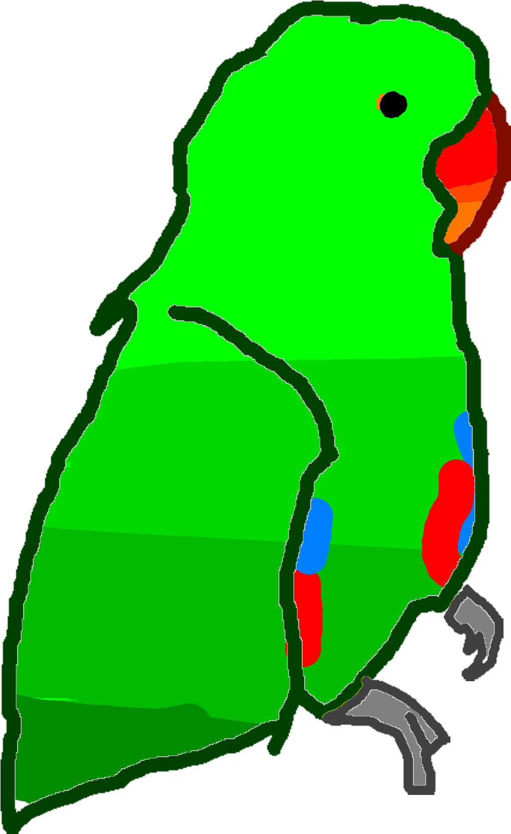 Ugly Parrot - Budgie (2000x2000), Png Download