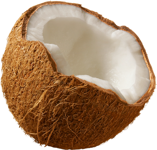 Free Png Coconut Png Images Transparent - Free Pictures Of Coconut (480x480), Png Download