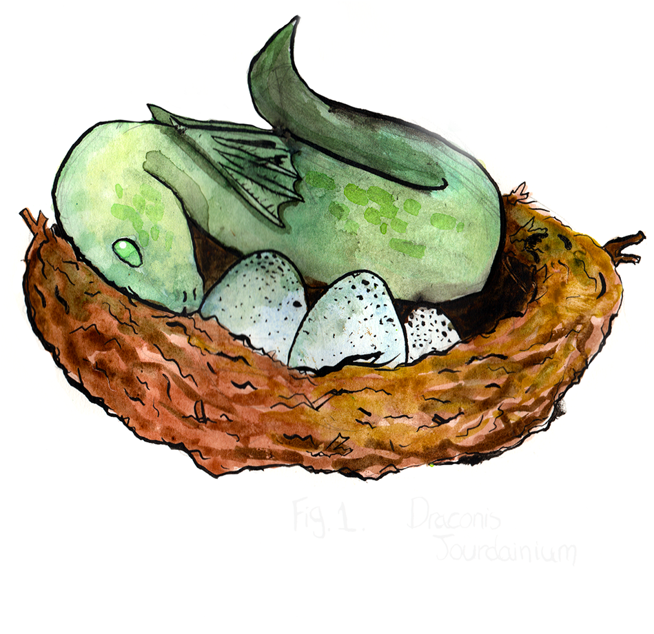 Police Have Found Eggs And These Creatures In The Possession - T-shirt (1200x1697), Png Download