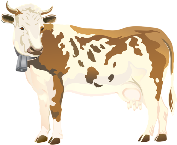 Bull Cattle Clip Art - Clip Art Cow Png (600x492), Png Download