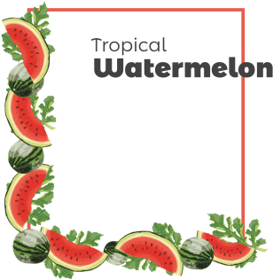 Decorative Watermelon Frame, Decorative, Frame, Watermelon - Portable Network Graphics (360x360), Png Download