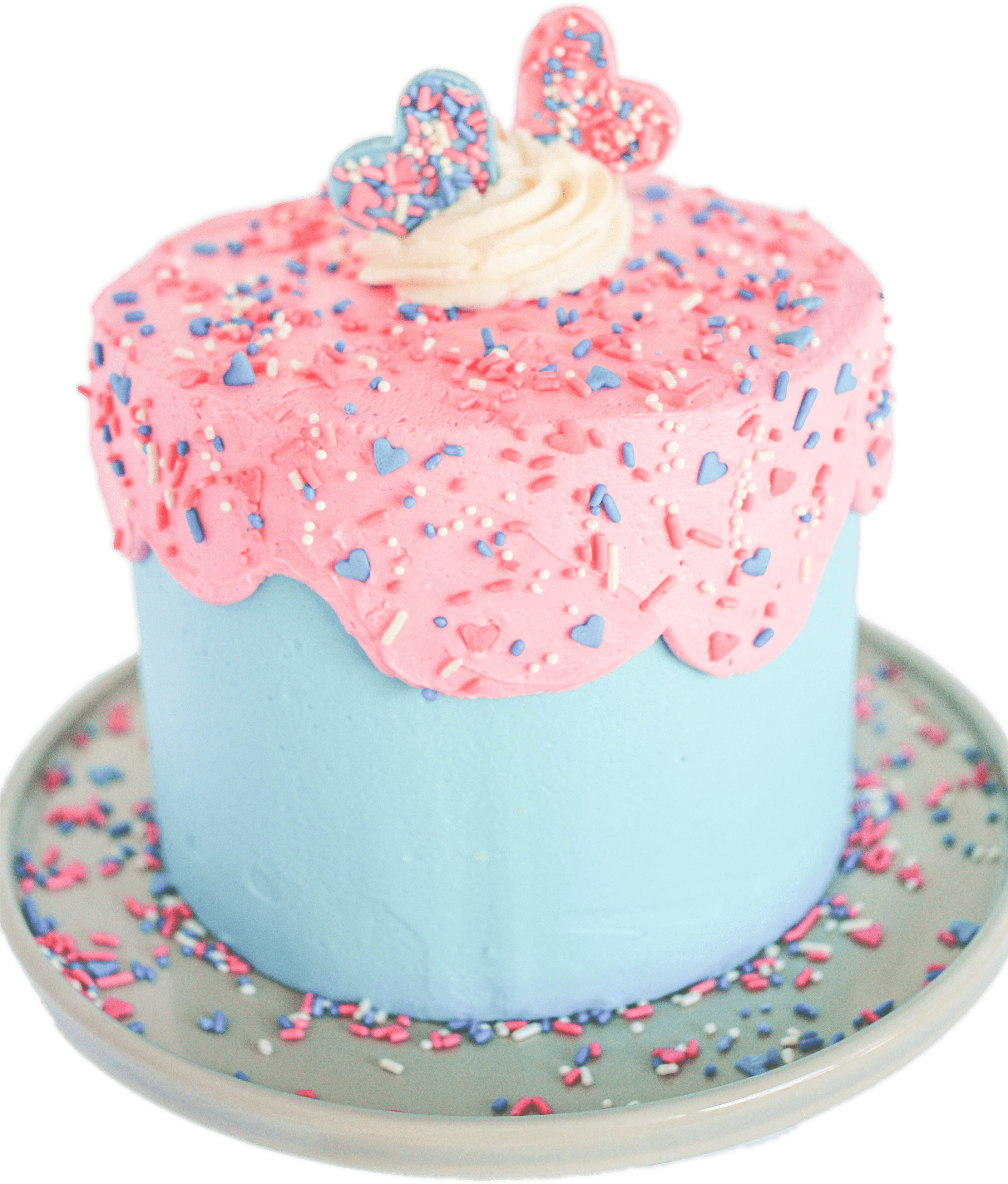 Gender Revealing Cakes - Gender Reveal (2819x3345), Png Download