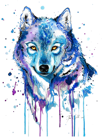 Dibujos De Lobo Con Acuarelas (480x480), Png Download