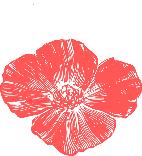 Petal Clipart Peach Flower - California Poppy Art (546x596), Png Download