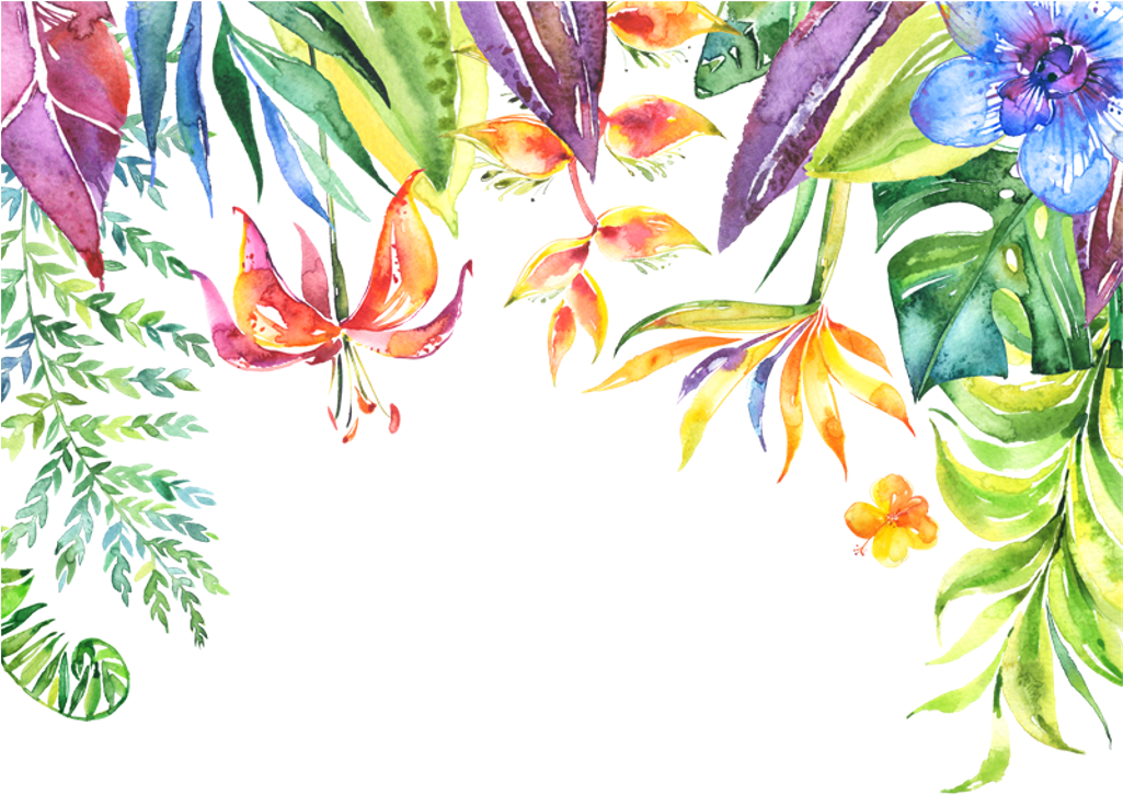 Tropical Flower Border Png Svg Stock - Iphone Walpapers Bible Verses (1024x1024), Png Download