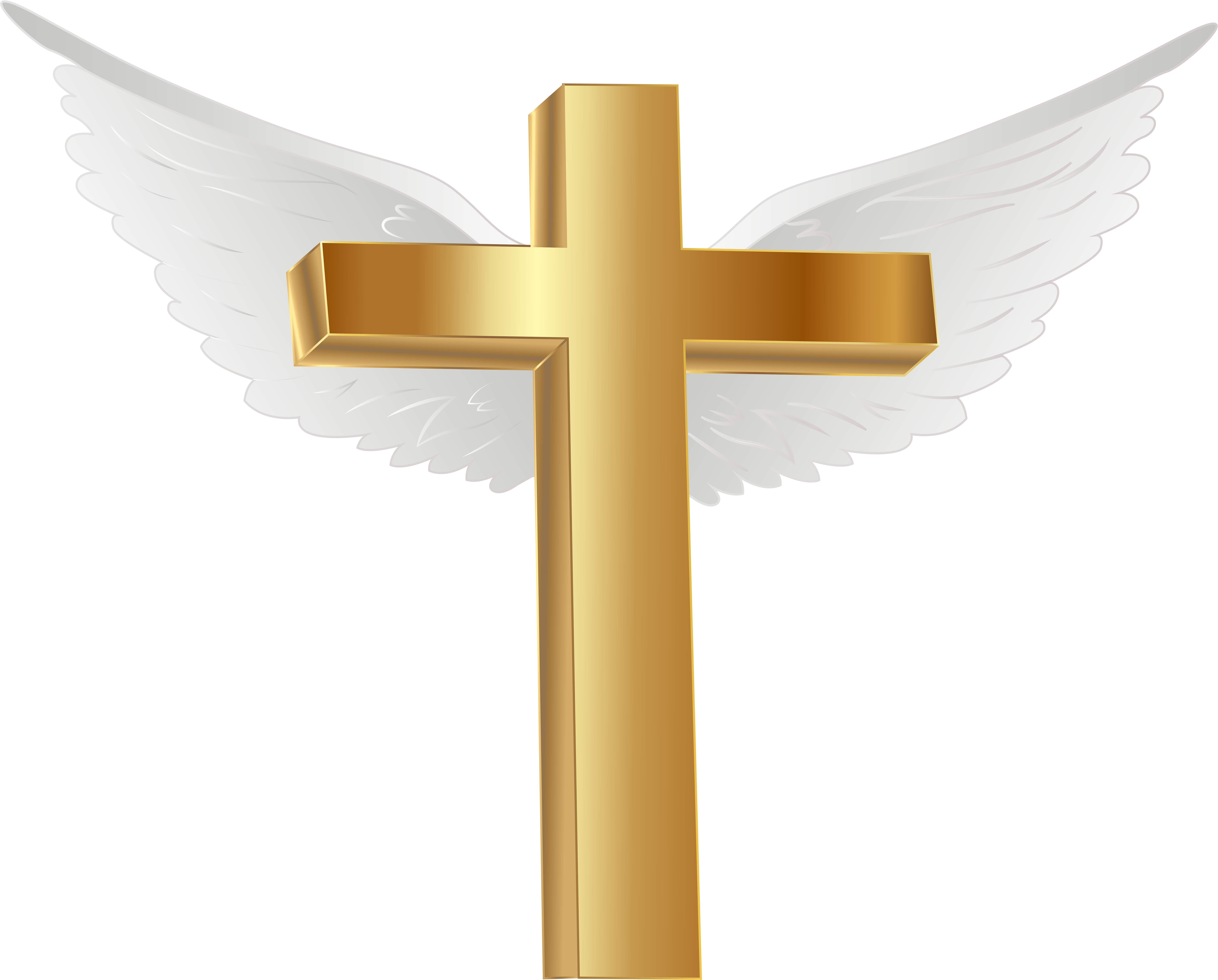 Angel Wings Png (8000x6429), Png Download