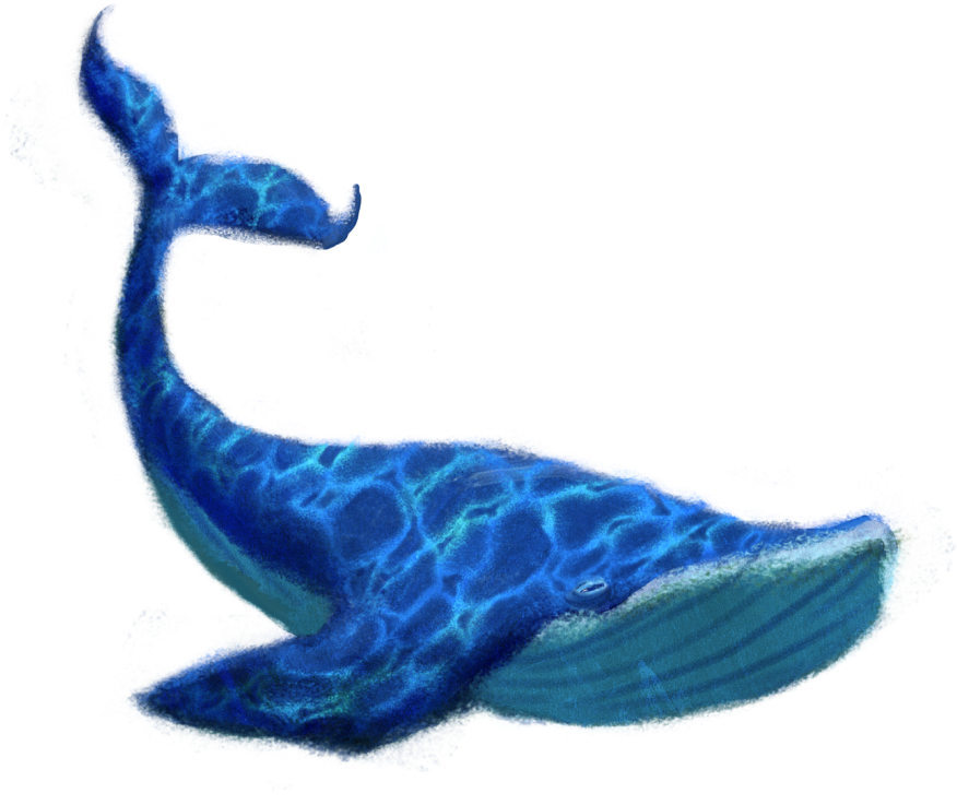 Blue Whale Png Transparent Image - Blue Whale Png (1024x683), Png Download