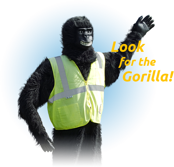 Img Allpages Gorilla - Gorilla In Hi Viz (571x551), Png Download