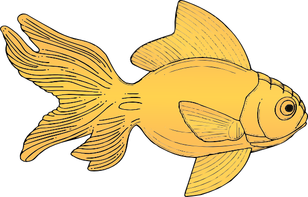 Goldfish Svg Clip Arts 600 X 384 Px (600x384), Png Download