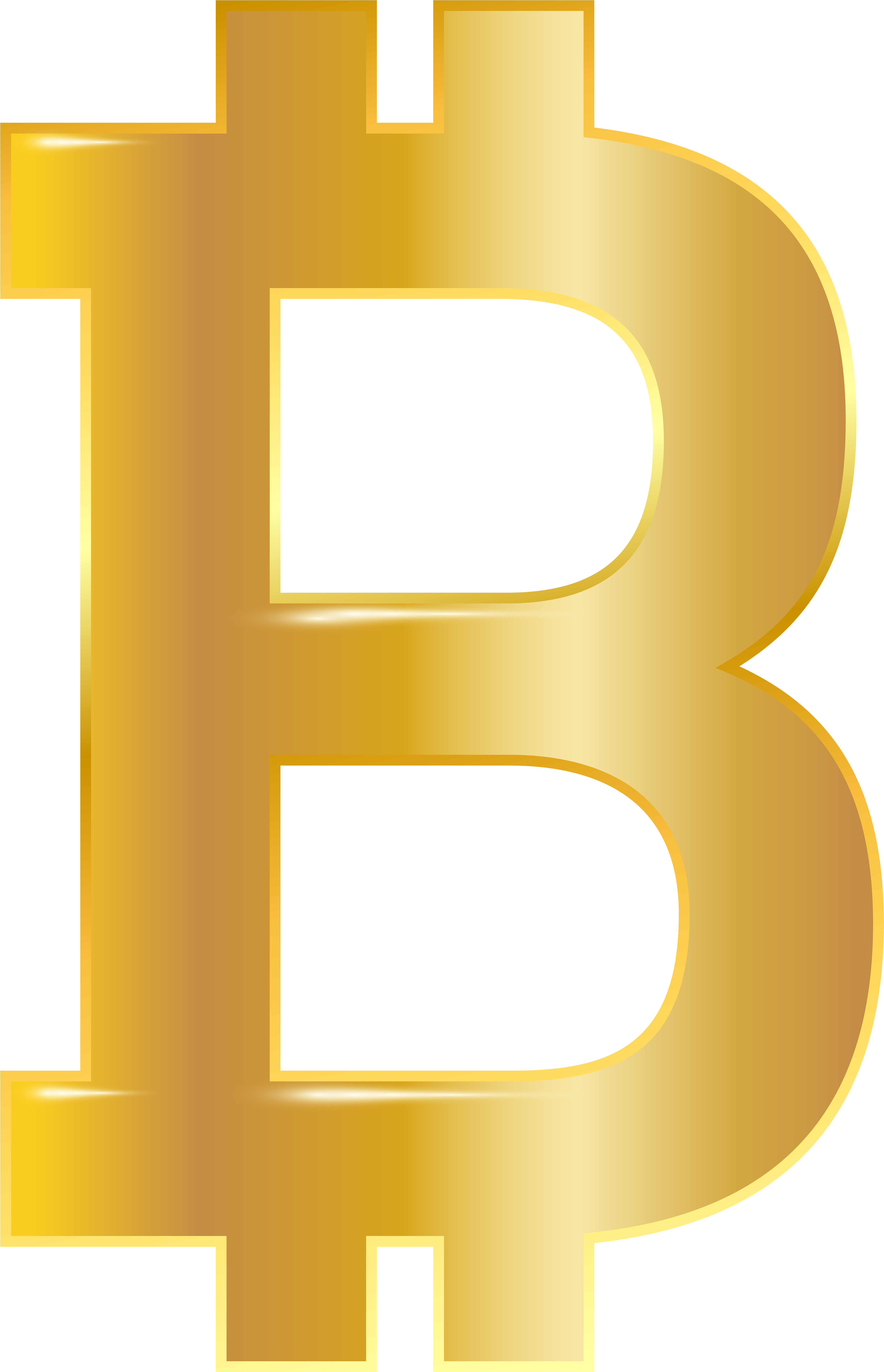 Bitcoin Full Size (5153x8000), Png Download