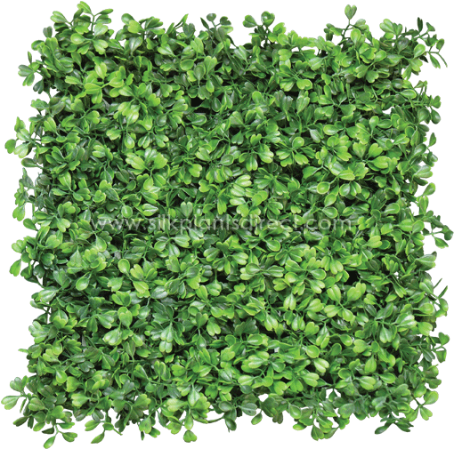 Shrub Png Plan Download - Hedge Png (595x521), Png Download
