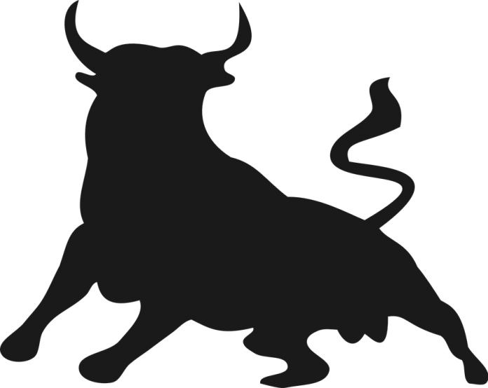Bull - Bull Silhouette Png (640x508), Png Download