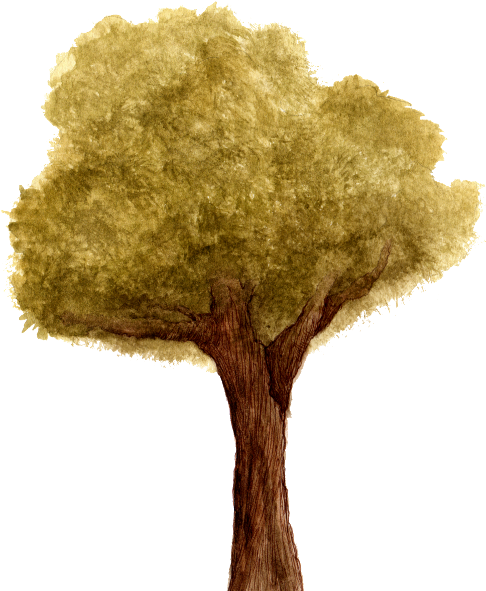 Back The Kickstarter Campaign Here - Photograph (1000x1200), Png Download