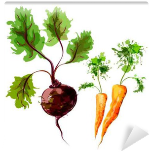 Set Of Vector Watercolor Vegetables - Vegetable (400x400), Png Download