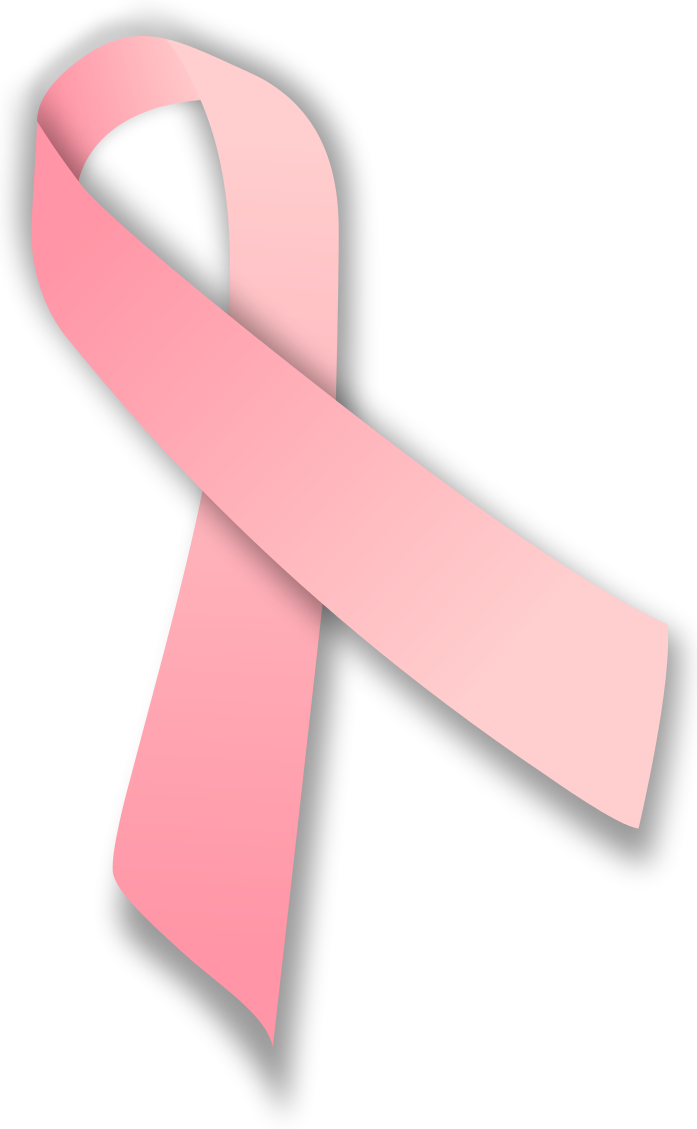 File - Pink Ribbon - Svg - Breast Cancer Ribbon (697x1129), Png Download