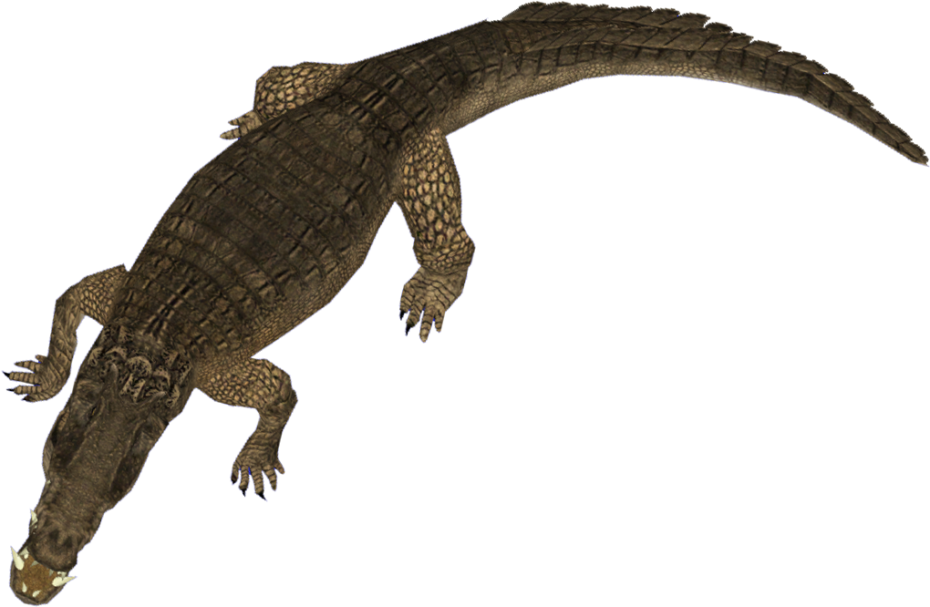 Kaprosuchus - February 23 (1366x768), Png Download