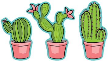 Clipart Frames Illustrations Hd - Cartoon Cactus And Succulents (550x320), Png Download