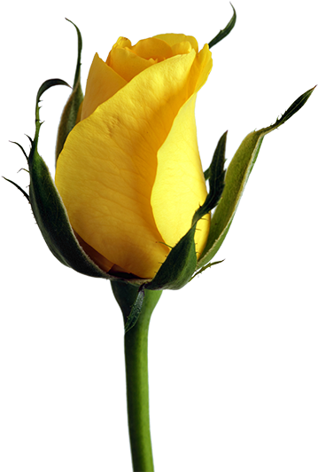 This Example Finds All Transparent Pixels In A Png - Life Is A One Time Offer Use (400x600), Png Download