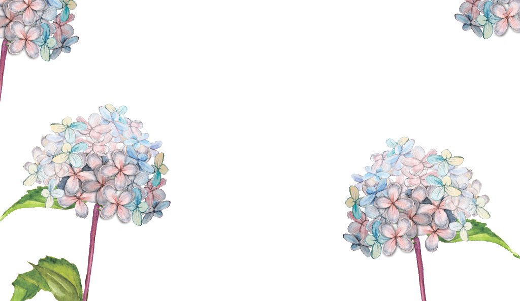 Disponible En Formato De Png - Flower Garden Journal: A Totable Notable Journal - (1024x593), Png Download