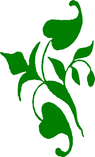 How To Set Use Large Green Vine Icon Png (360x596), Png Download