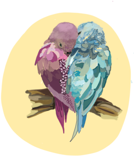 Birds 4 Mhoe - Lovebird (339x480), Png Download