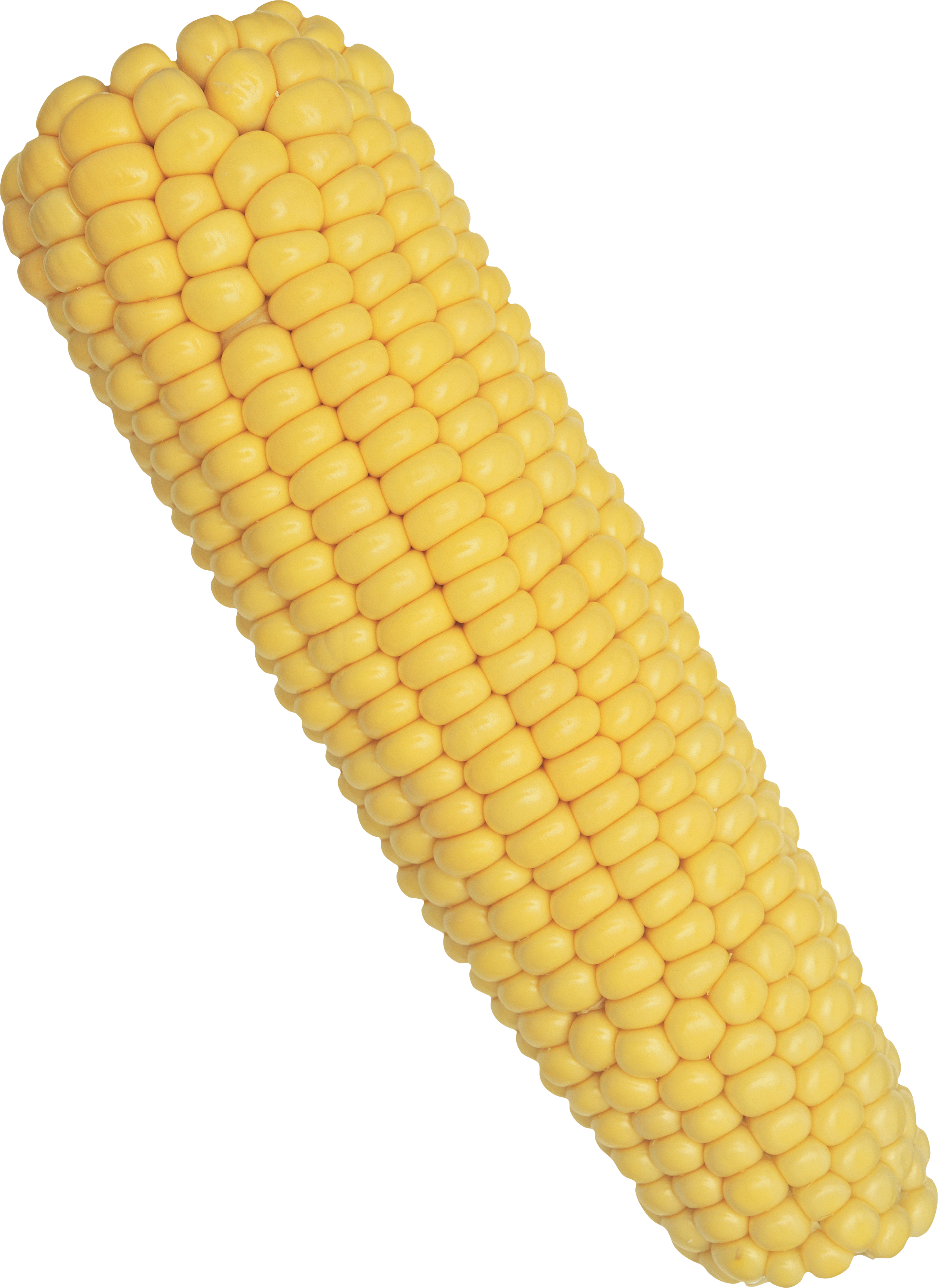 Corn Png Image Corn Png Image Stock Image - Corn On The Cob Png (2436x3345), Png Download