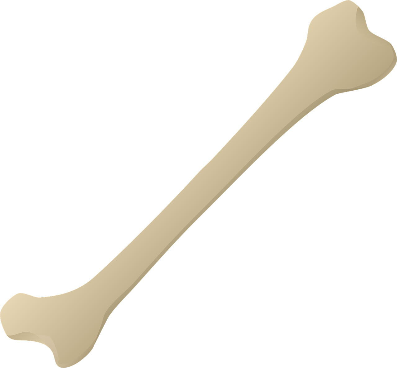 Wooden Dessert Spoon (777x720), Png Download