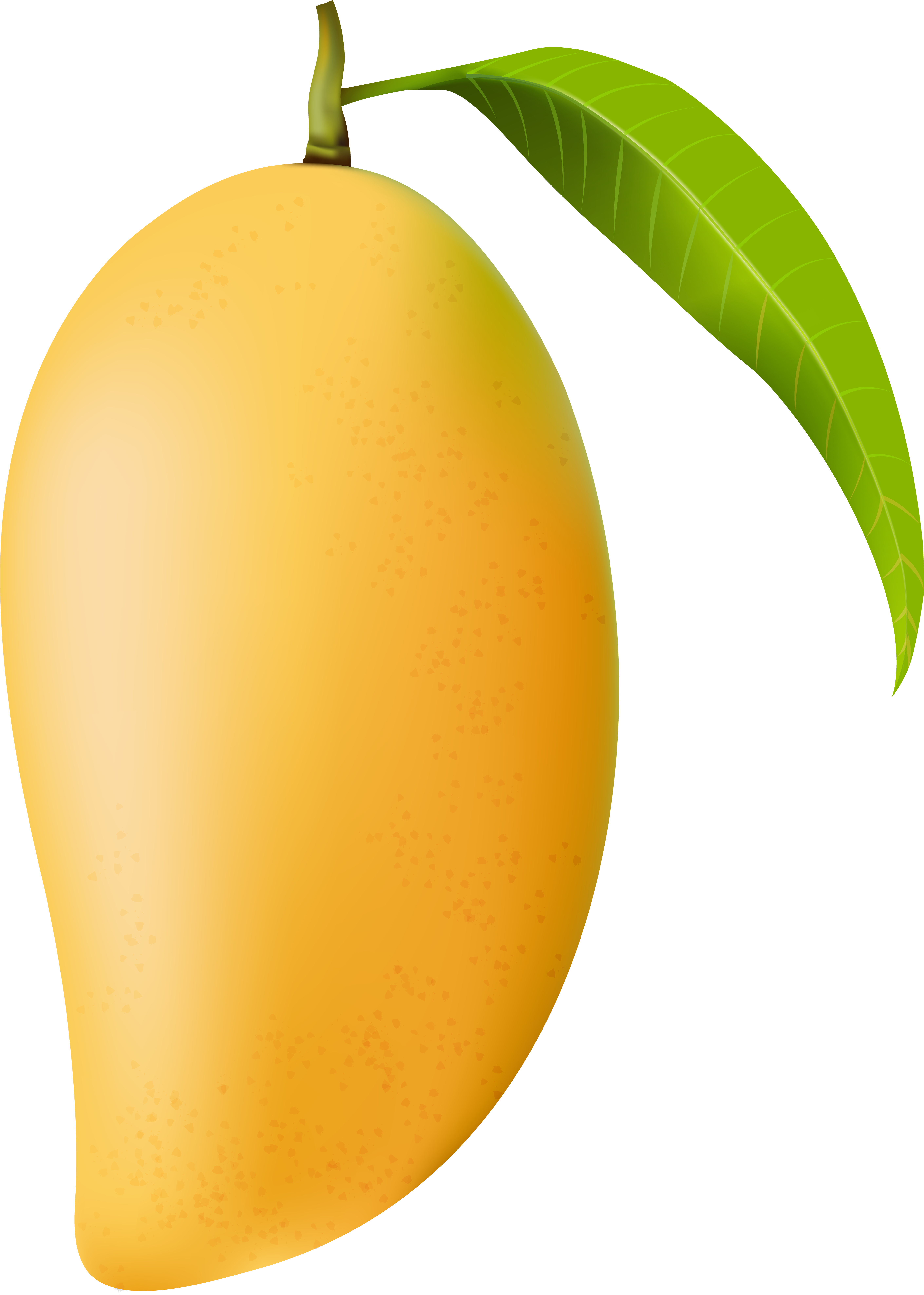 Mango Png Clip Art Image - Mango Clipart Png (428x600), Png Download
