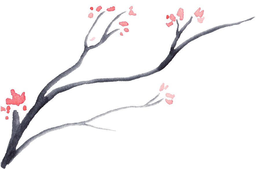This Graphics Is Dead Wood Bloom Flower Transparent - Flower (1024x710), Png Download